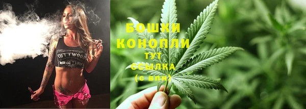 метадон Каменка