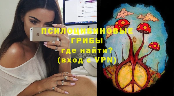 метадон Каменка