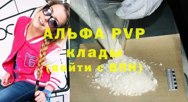 СК Каменск-Шахтинский