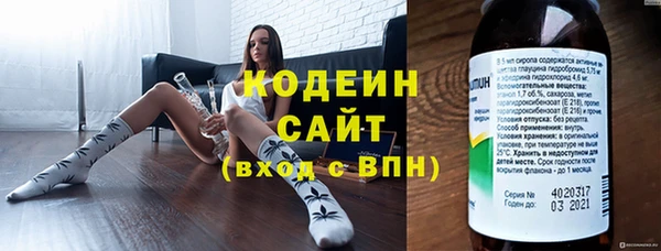 метадон Каменка
