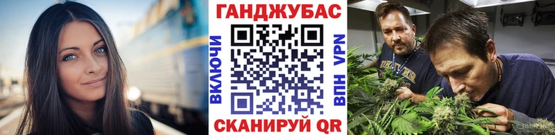 Купить где  Великие Луки  Канабис план 